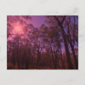 De paarse lucht briefkaart (Voorkant)