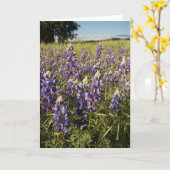 De paarse Lupine bloeit Kaart (Gele Bloem)