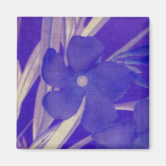 De paarse Magneet van de Bloem