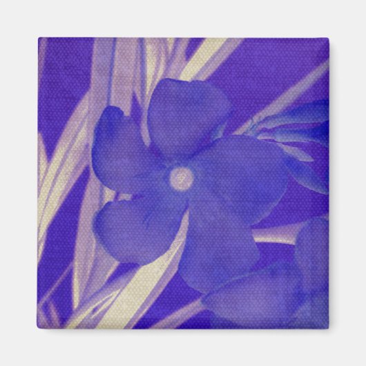 De paarse Magneet van de Bloem (Voorkant)