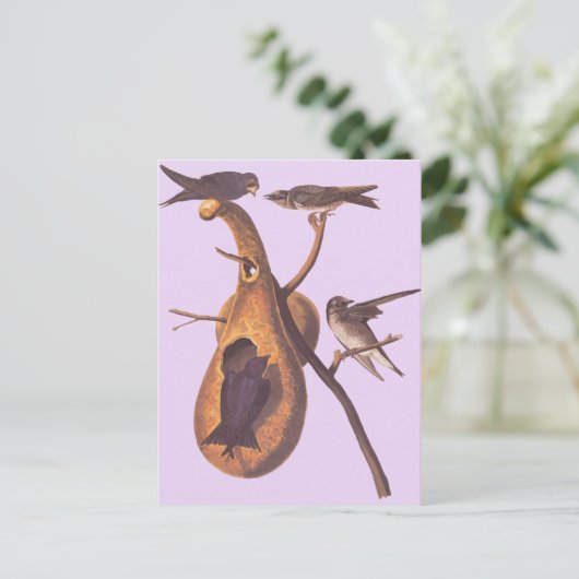 De Paarse Martin van Audubon Briefkaart (Staand voorkant)