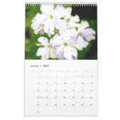 De Paarse tuin 2011 Kalender (Jan 2027)