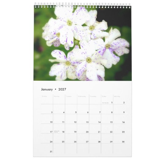 De Paarse tuin 2013 Kalender (Jan 2027)