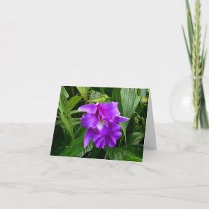 De paarse van de Orchidee Kaart van de Nota van w-