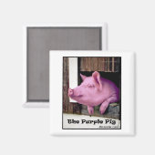 De Paarse Varkenspop Magneet (Voorkant / Achterkant)