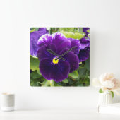 De paarse Verrukkingen van het Viooltje, Vierkante Klok (Huis)