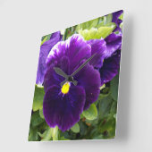 De paarse Verrukkingen van het Viooltje, Vierkante Klok (Hoek)