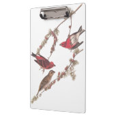 De Paarse vinken van Audubon op de naaldbomen Klembord (Links)