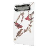 De Paarse vinken van Audubon op de naaldbomen Mini Klembord (Angled2)