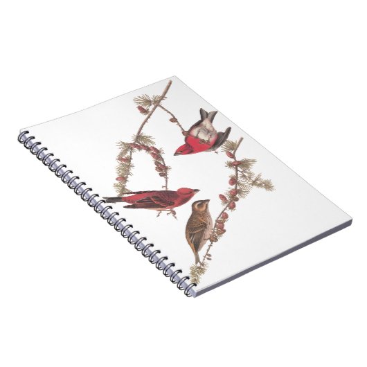 De Paarse vinken van Audubon op de naaldbomen Notitieboek (Rechterzijde)