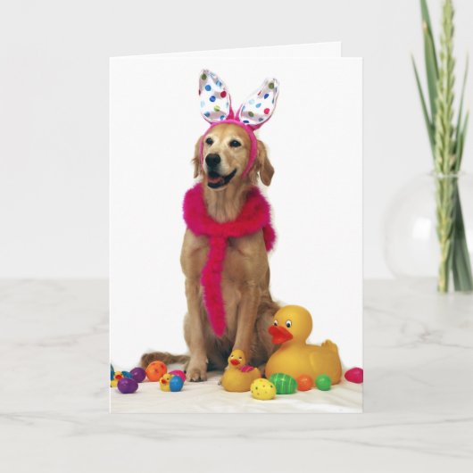 De Paashaas van het golden retriever Feestdagen Kaart (Voorkant)