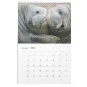 De Pacifische kust van 2016 - zeehonden en scenica Kalender (Jan 2026)