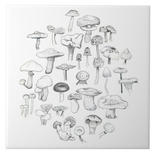 De paddenstoel tegeltje (Voorkant)