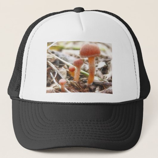De paddenstoelenfamilie trucker pet (Voorkant)