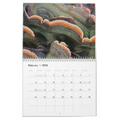 De paddenstoelenkalender voor 2025 Mooie foto's Kalender (Feb 2026)