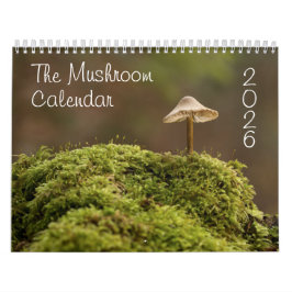 De paddenstoelenkalender voor 2025 Mooie foto's Kalender