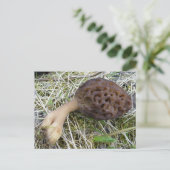 De Paddestoel van de morille op Eiland Unalaska Briefkaart (Staand voorkant)