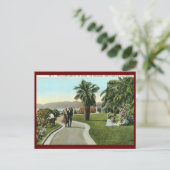 De Palisades, Santa Monica Vintage Briefkaart (Staand voorkant)