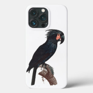 De Palm Cockato, Probosciger aterrimus Parrot Case-Mate iPhone Case