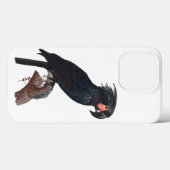 De Palm Cockato, Probosciger aterrimus Parrot Case-Mate iPhone Case (Achterkant (horizontaal))
