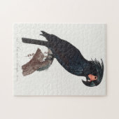 De Palm Cockato, Probosciger aterrimus Parrot Legpuzzel (Horizontaal)
