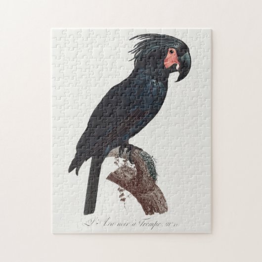 De Palm Cockato, Probosciger aterrimus Parrot Legpuzzel (Verticaal)