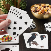 De Palm Cockato, Probosciger aterrimus Parrot Pokerkaarten (Insitu)