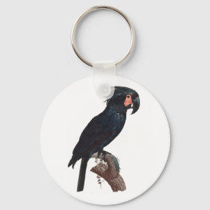 De Palm Cockato, Probosciger aterrimus Parrot Sleutelhanger