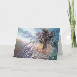 "De palm en het Storm" Aankondiging