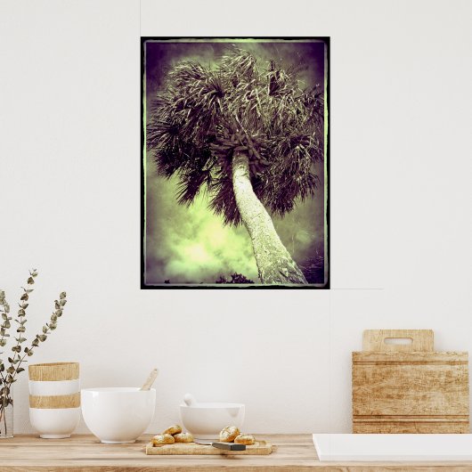 De palm poster (Keuken)