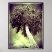 De palm poster (Voorkant)