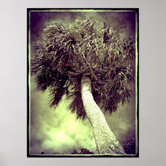 De palm poster