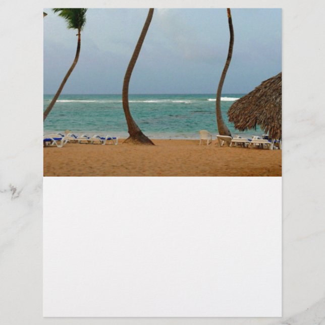 De Palm van het strand (Voorkant)