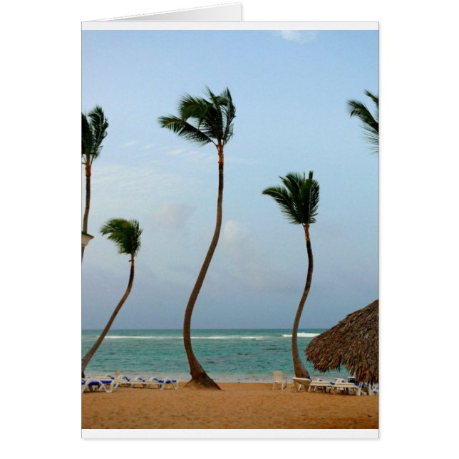 De Palm van het strand (Voorkant)