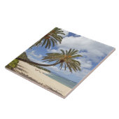 De palmboom leunt over het zand bij Sunset Tegeltje (Zijkant)