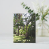 De palmen van Boca Chica Briefkaart (Staand voorkant)