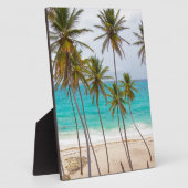 De Palmen van het strand Fotoplaat (Zijkant)