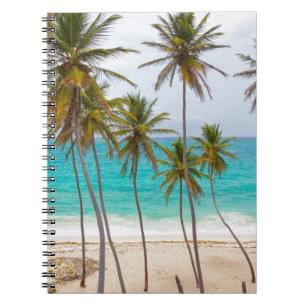 De Palmen van het strand Notitieboek