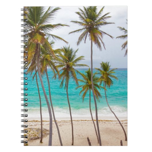 De Palmen van het strand Notitieboek (Voorkant)