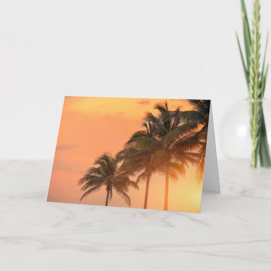 De Palmen van Miami Kaart (Voorkant)