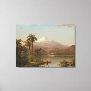 De Palmen van Tamaca langs Magdalena River in Canvas Afdruk