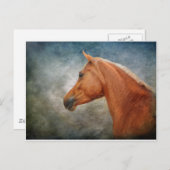 De Palomino Briefkaart (Voorkant / Achterkant)