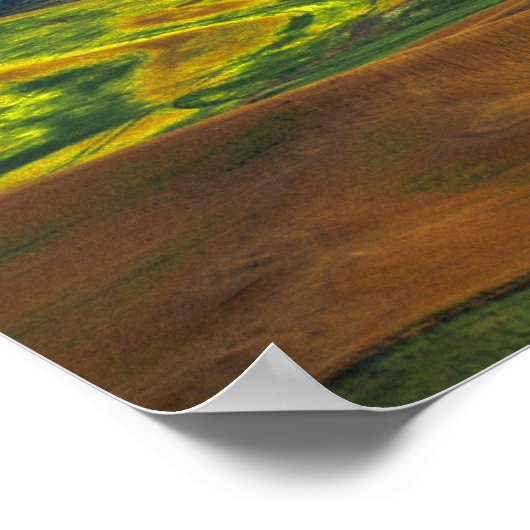 De Palouse van Steptoe Butte, Colfax, Poster (Hoek)