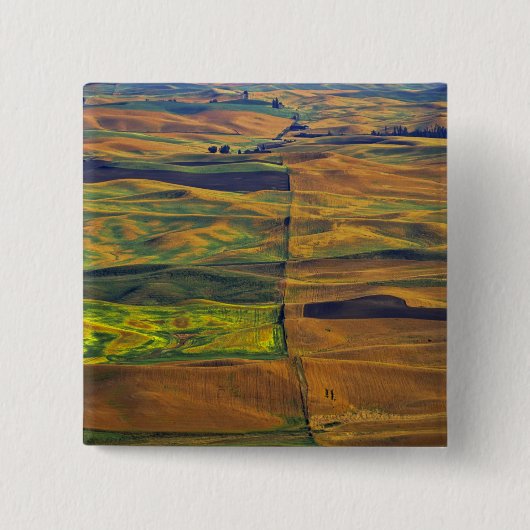 De Palouse vanaf Steptoe Butte, Colfax, Vierkante Button 5,1 Cm (Voorkant)