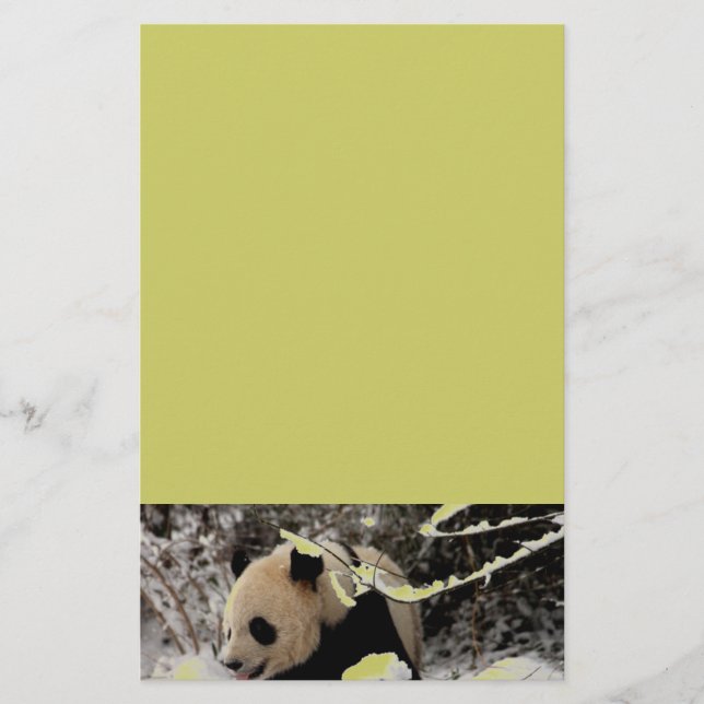 De panda draagt (Voorkant)
