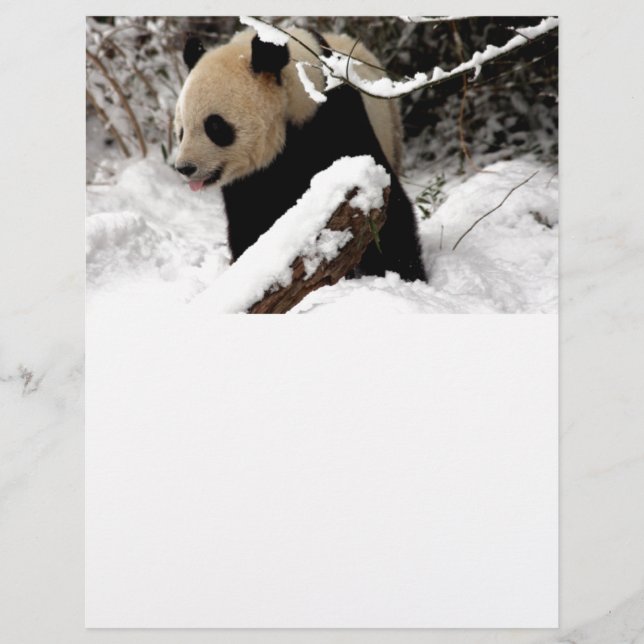 De panda draagt (Voorkant)