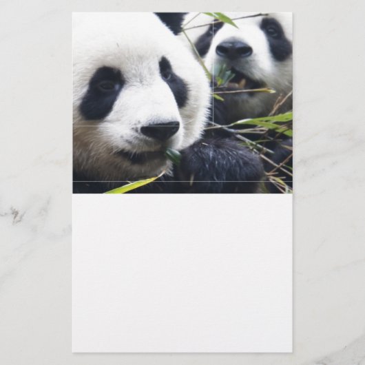 De panda draagt briefpapier (Voorkant)