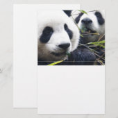 De panda draagt briefpapier (Voorkant / Achterkant)