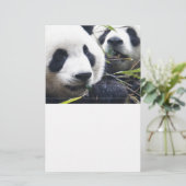 De panda draagt briefpapier (Staand voorkant)