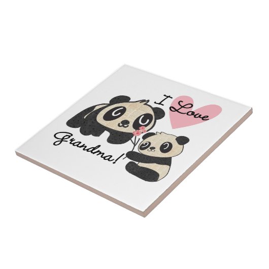 De panda draagt de Oma van de Liefde van I Tegeltje (Zijkant)